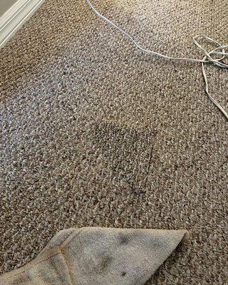 Carpet repair (cut patch) - Wow, it happens to almost everyone at one time or another. A small spill, a small place where the dog chewed, a burn; any of these events can be a mini disaster for your carpet. Don’t worry, our experts are here to help you🫶🏼. Carpet repair (cut patch) - Wow, it happens to almost everyone at one time or another. A small spill, a small place where the dog chewed, a burn; any of these events can be a mini disaster for your carpet. Don’t worry, our experts are here to help you🫶🏼.