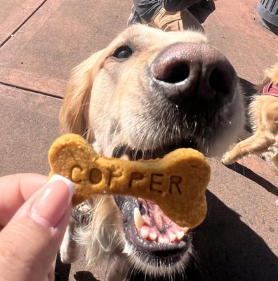 Dog Biscuits - PB biscuits

Ingredients: PB, wheat flour, eggs

Sizes available :
Xs-Xl
1 order is 10-20 biscuits
Customs name add in + 2$