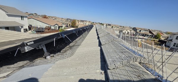 bird proof & spikes - the customer was tired of unwanted squatters under their solar panels so we evicted them and installed commercial grade bird proof mesh & spikes so they wouldn't come back bird proof & spikes - the customer was tired of unwanted squatters under their solar panels so we evicted them and installed commercial grade bird proof mesh & spikes so they wouldn't come back