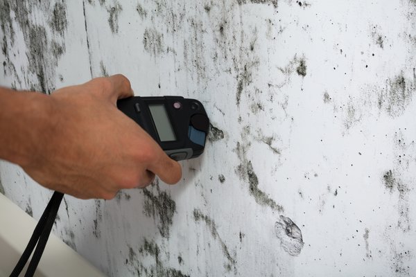 Mold Inspections - Including detailed moisture assessments, air and surface sampling, and thorough reporting to identify hidden mold issues and sources of moisture. Every inspection demonstrates our commitment to accuracy, safety, and helping clients maintain healthy living and working environments. Mold Inspections - Including detailed moisture assessments, air and surface sampling, and thorough reporting to identify hidden mold issues and sources of moisture. Every inspection demonstrates our commitment to accuracy, safety, and helping clients maintain healthy living and working environments.