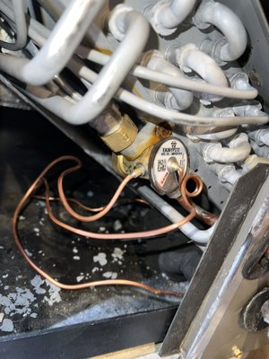 TXV replacements and system back up and cooling - Failed TXV metering device swapped out and system back up and cooling. TXV replacements and system back up and cooling - Failed TXV metering device swapped out and system back up and cooling.