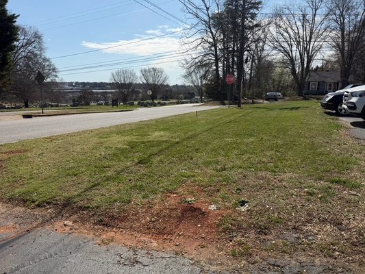 Commerical Lawn - Commercial weed eating and mowing
