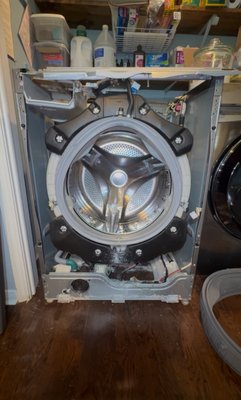 Got a moldy front loader? - This front-load washer had heavy mold buildup around the door boot, causing unpleasant odors and an unsanitary washing environment. We thoroughly cleaned and treated the affected area, removing the buildup and restoring the washer to a cleaner, fresher condition. If your washer has mold, odors, or residue around the door seal, contact Texan Appliance Repair for professional service! Got a moldy front loader? - This front-load washer had heavy mold buildup around the door boot, causing unpleasant odors and an unsanitary washing environment. We thoroughly cleaned and treated the affected area, removing the buildup and restoring the washer to a cleaner, fresher condition. If your washer has mold, odors, or residue around the door seal, contact Texan Appliance Repair for professional service!