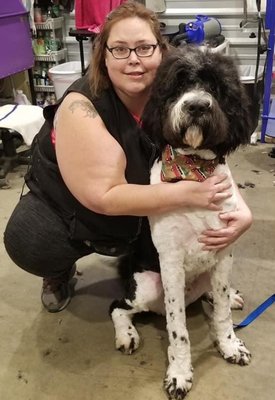 Grooming photos - Grooming all breeds of pets Grooming photos - Grooming all breeds of pets