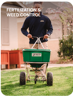 Weed Control Services & Lawn Fertilization in Roanoke & Lynchburg, VA & Charlotte, NC - A lush, green lawn doesn’t happen on its own. To thrive consistently, a lawn needs the right nutrients applied at the right times. At The Green Team, we’ve perfected the process of helping homeowners in Charlotte, Lynchburg, and Roanoke achieve vibrant, healthy lawns.
Our customized lawn care programs are curated to meet the unique needs of your grass, ensuring that it’s resilient and pleasing to the eye.
Get in touch with The Green Team for a free quote, and we’ll handle all your fertilization needs. Weed Control Services & Lawn Fertilization in Roanoke & Lynchburg, VA & Charlotte, NC - A lush, green lawn doesn’t happen on its own. To thrive consistently, a lawn needs the right nutrients applied at the right times. At The Green Team, we’ve perfected the process of helping homeowners in Charlotte, Lynchburg, and Roanoke achieve vibrant, healthy lawns.
Our customized lawn care programs are curated to meet the unique needs of your grass, ensuring that it’s resilient and pleasing to the eye.
Get in touch with The Green Team for a free quote, and we’ll handle all your fertilization needs.