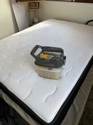 CARPET & UPHOLSTERY CLEANING - Our deep carpet and upholstery cleaning removes years of dirt, stains, and odors. You don't need to replace or remove your carpet; it just needs a deep cleaning, and you'll have a like-new carpet free of odors and stains. CARPET & UPHOLSTERY CLEANING - Our deep carpet and upholstery cleaning removes years of dirt, stains, and odors. You don't need to replace or remove your carpet; it just needs a deep cleaning, and you'll have a like-new carpet free of odors and stains.