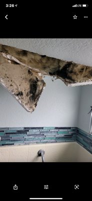 Upper floor toilet leak - A neighbors toile leaked in a condo complex. We helped the home owners resolve this problem for an affordable price Upper floor toilet leak - A neighbors toile leaked in a condo complex. We helped the home owners resolve this problem for an affordable price