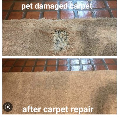 Apartment Carpet Repair - This rip in the carpet was due to a dog clawing on the carpet until the small whole turned into this, we were able to cut out the damaged area and patch the carpet allowing it to be returned to a presentable state without further damage.