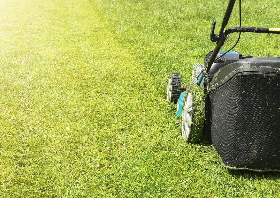 Lawn Maintenance - Our services include: 

- Yard maintenance 

- Fertilization 

- Weeds control

- Sod installation 

- Artificial turf

- Flowerbeds