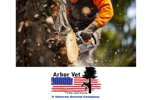 Tree Removal Services - We take pride in offering comprehensive tree removal services in Seattle, Bellevue and Everett areas. Our services go beyond simply cutting down trees. The dedicated team at Arbor Vet Tree Service is equipped with state-of-the-art equipment and expertise. We not only remove trees efficiently but also grind and remove the stumps. This additional service opens up a world of possibilities; utilizing your property in ways that were previously hindered by unsightly stumps.