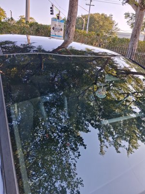 2025 Kia K5 tint Job - Car was completely hot before tinted 2025 Kia K5 tint Job - Car was completely hot before tinted
