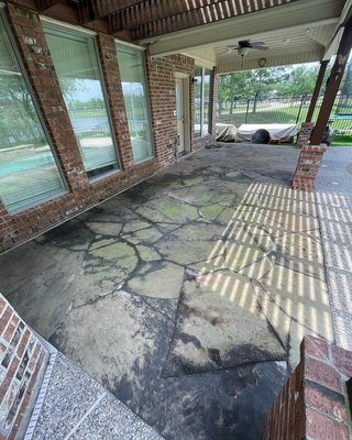 Pool Deck + Patio Cleaning - This cleaning was done to both the pool deck and patio. On the patio, you can see all the mold and moss, built up on the surface, we were able to remove all of that disgustingness and renew it. The pool deck had a lot of built up algae and bacteria, which was later removed and killed.
