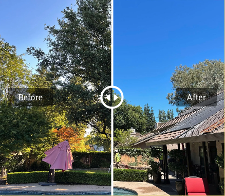 Tree service - Before and after pictures Tree service - Before and after pictures