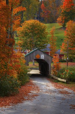Fall Foliage Tours - Foliage tour package for people to experience the unique Vermont kaleidoscope of foliage colors. Vermont puts on an unbelievable display of colours. Fall Foliage Tours - Foliage tour package for people to experience the unique Vermont kaleidoscope of foliage colors. Vermont puts on an unbelievable display of colours.