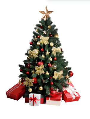 Holiday Hauling - From your Christmas tree to all that holiday wrapping material that just won't quite all fit... call us and we'll handle it for you! Holiday Hauling - From your Christmas tree to all that holiday wrapping material that just won't quite all fit... call us and we'll handle it for you!