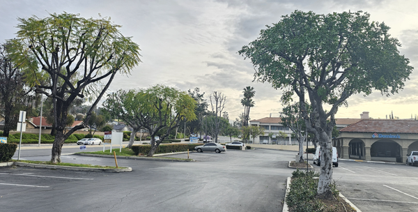 Commercial Services - We are a family owned and operated tree service business with 30+ years of experience. We are licensed and bonded. We specialize in tree trimming, removal, and maintenance, providing quality services to enhance the safety and appearance of residential and commercial properties. We also provide maintenance for fire mitigation, which includes slopeside cleanups. We pride ourselves in great service, affordable prices and professionalism. Call us today for a free estimate! Commercial Services - We are a family owned and operated tree service business with 30+ years of experience. We are licensed and bonded. We specialize in tree trimming, removal, and maintenance, providing quality services to enhance the safety and appearance of residential and commercial properties. We also provide maintenance for fire mitigation, which includes slopeside cleanups. We pride ourselves in great service, affordable prices and professionalism. Call us today for a free estimate!