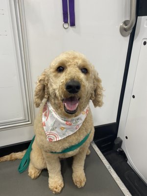 Warmer weather is here! - Warmer weather is here. Book a summer cut with us today! Warmer weather is here! - Warmer weather is here. Book a summer cut with us today!