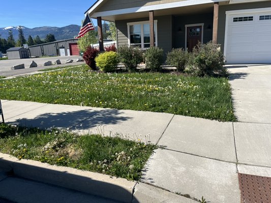 First job - Mowing and lawn cleanup First job - Mowing and lawn cleanup