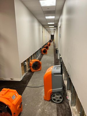 Commercial Water Damage Restoration – Large Office Building - This project involved commercial water damage restoration at a 30,000+ square foot office building spanning four levels. Our team responded quickly to prevent further damage and minimize downtime for the business.
We performed a full water damage assessment, followed by water extraction and structural drying throughout the property. Due to the size and complexity of the space, we installed over 200 professional air movers and 50 commercial-grade dehumidifiers, strategically placed across all floors to ensure proper airflow and moisture control.
Drying equipment was monitored and adjusted daily to maintain optimal conditions. Thanks to the scale of our equipment and coordinated execution, the entire affected area was successfully dried within 3 days.
This project required careful planning, equipment staging, and continuous monitoring to protect flooring, walls, and office infrastructure while allowing the business to remain organized during the restoration process. Commercial Water Damage Restoration – Large Office Building - This project involved commercial water damage restoration at a 30,000+ square foot office building spanning four levels. Our team responded quickly to prevent further damage and minimize downtime for the business.
We performed a full water damage assessment, followed by water extraction and structural drying throughout the property. Due to the size and complexity of the space, we installed over 200 professional air movers and 50 commercial-grade dehumidifiers, strategically placed across all floors to ensure proper airflow and moisture control.
Drying equipment was monitored and adjusted daily to maintain optimal conditions. Thanks to the scale of our equipment and coordinated execution, the entire affected area was successfully dried within 3 days.
This project required careful planning, equipment staging, and continuous monitoring to protect flooring, walls, and office infrastructure while allowing the business to remain organized during the restoration process.