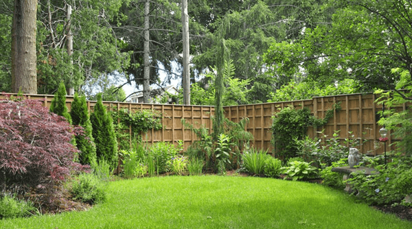 Softscape Design and Installation - Lush, Custom Softscape Designs by Higher Mountain, LLC
At Higher Mountain, LLC, we bring your outdoor spaces to life with carefully curated softscape designs. Our team specializes in planting vibrant trees, shrubs, flowers, and grasses that harmonize with your surroundings, enhancing both beauty and function. Whether you’re looking for a colorful garden, a serene natural landscape, or a mix of textures and heights, we create softscapes that blend seamlessly with your property’s aesthetic.
Our softscape solutions are tailored to your needs, balancing seasonal appeal, environmental considerations, and maintenance ease. Let Higher Mountain, LLC transform your landscape into a lush, inviting environment you’ll love year-round. Softscape Design and Installation - Lush, Custom Softscape Designs by Higher Mountain, LLC
At Higher Mountain, LLC, we bring your outdoor spaces to life with carefully curated softscape designs. Our team specializes in planting vibrant trees, shrubs, flowers, and grasses that harmonize with your surroundings, enhancing both beauty and function. Whether you’re looking for a colorful garden, a serene natural landscape, or a mix of textures and heights, we create softscapes that blend seamlessly with your property’s aesthetic.
Our softscape solutions are tailored to your needs, balancing seasonal appeal, environmental considerations, and maintenance ease. Let Higher Mountain, LLC transform your landscape into a lush, inviting environment you’ll love year-round.