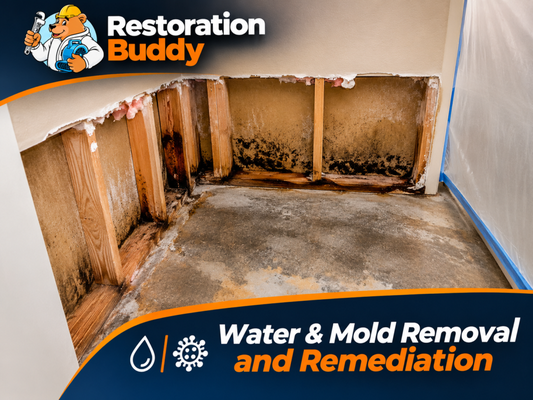 Water & Mold Removal and Remediation - Water was entering the room from outside, causing moisture damage beneath the flooring and inside the walls. During our inspection, we also discovered mold growth in the affected areas.
We removed all water-damaged and mold-affected materials to prevent further damage and prepare the area for proper drying and restoration. Water & Mold Removal and Remediation - Water was entering the room from outside, causing moisture damage beneath the flooring and inside the walls. During our inspection, we also discovered mold growth in the affected areas.
We removed all water-damaged and mold-affected materials to prevent further damage and prepare the area for proper drying and restoration.