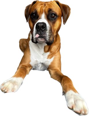 Meet our Team - Meet the Staff of Gage Auto LLC Meet our Team - Meet the Staff of Gage Auto LLC