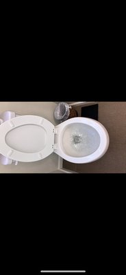 Toilet Backup & Drain Clearing - Customer was experiencing a toilet that repeatedly backed up and bubbled due to a clogged drain line. We accessed the line through the exterior cleanout, used professional drain-cleaning equipment to remove the blockage, and restored proper flow. The toilet was tested afterward to confirm normal drainage and operation. Toilet Backup & Drain Clearing - Customer was experiencing a toilet that repeatedly backed up and bubbled due to a clogged drain line. We accessed the line through the exterior cleanout, used professional drain-cleaning equipment to remove the blockage, and restored proper flow. The toilet was tested afterward to confirm normal drainage and operation.