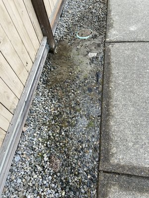 Mine water line - This project was mine water supply line for a house and I it was broke underground we dig the ground and repair water line same day they called us. If your house got same problem call as 24/7 we are here for you. Mine water line - This project was mine water supply line for a house and I it was broke underground we dig the ground and repair water line same day they called us. If your house got same problem call as 24/7 we are here for you.