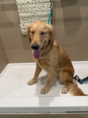 Golden days - Bath time for the sweet girl