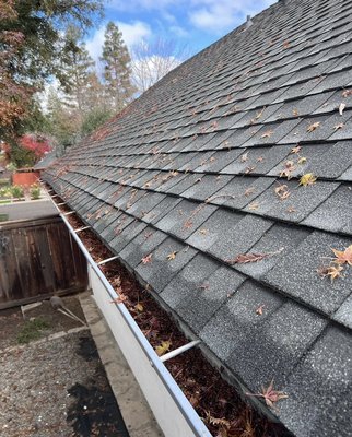 Christmas Gutter Special - We got this gutter cleared out for the incoming storm. It’s important to ensure your gutters are clear when expecting heavy showers. If the water is not properly dispersed it can cause damage to the homes foundation. Christmas Gutter Special - We got this gutter cleared out for the incoming storm. It’s important to ensure your gutters are clear when expecting heavy showers. If the water is not properly dispersed it can cause damage to the homes foundation.