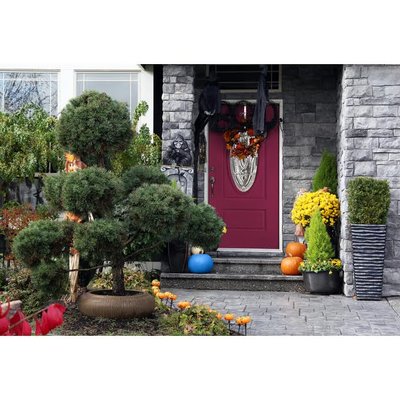 Entry Doors - ENTRY DOORS WE ARE THE BEST!! Entry Doors - ENTRY DOORS WE ARE THE BEST!!