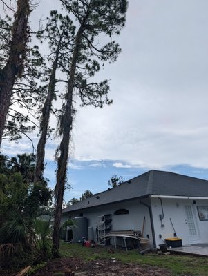 ⚠️ One storm can change everything. - Hurricane season is the time to tackle hazardous trees, overgrown limbs, and preventative pruning before they become a problem.
Watch TD Trees in action, and if you're unsure about a tree on your property, now is the best time to have it evaluated. ⚠️ One storm can change everything. - Hurricane season is the time to tackle hazardous trees, overgrown limbs, and preventative pruning before they become a problem.
Watch TD Trees in action, and if you're unsure about a tree on your property, now is the best time to have it evaluated.