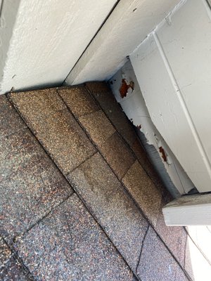Before and After - We are the Mountains local family experts in Eco-Friendly & Humane Nuisance Animal Removal & Structural Home Proofing and Prevention! We will secure your home and send the critters back to their natural habitat. No poisons, no kill traps & no contracts like typical pest control companies! We are actual wildlife specialists and besides Mice & Rats we handle all animals that can be a nuisance around your home & business like Raccoon, Skunk, Woodpeckers, Squirrels & more!

- We inspect interior and exterior to assess how rodents are entering the home and all possible access routes they could use that need to be repaired.
- We assess the level of infestation & volume of feces/urine needing to removed and areas disinfected.
- We assess if misting is required for odor or possible fecal airborne spores that are present.

An $80 credit from the inspection will go towards your job if booked!!