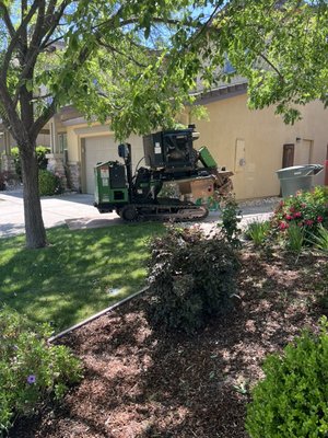 Stump Removal - Professional stump removal services! Fast, affordable, and safe. Restore your yard's beauty today.
Contacts us for a free quote!
Call or Text (916) 708-7427 Stump Removal - Professional stump removal services! Fast, affordable, and safe. Restore your yard's beauty today.
Contacts us for a free quote!
Call or Text (916) 708-7427