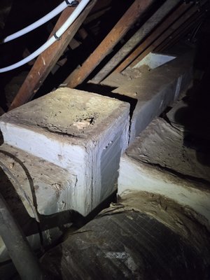 Rat Removal - This home had rats that were getting into the attic and made a mess of the customers ducts and items stored away. The leaves on the roof were inviting for rodents. Homeowner cleared roof and we trapped and seal the home. Happy customers that recieved our 1 year warranty! Rat Removal - This home had rats that were getting into the attic and made a mess of the customers ducts and items stored away. The leaves on the roof were inviting for rodents. Homeowner cleared roof and we trapped and seal the home. Happy customers that recieved our 1 year warranty!