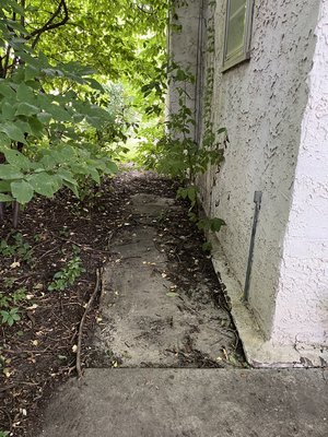side walkway clearing & cleanup - Side walkway clearing & trimming – Removal of overgrown vegetation, trimming branches along the wall, and cleaning debris to make the path visible and accessible.