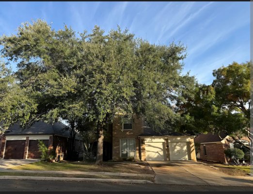 Roof Clearance and Tree Pruning - Pruned this tree to promote health, roof clearance at a safe distance to give the tree plenty of room to grow without damaging the roof. Roof Clearance and Tree Pruning - Pruned this tree to promote health, roof clearance at a safe distance to give the tree plenty of room to grow without damaging the roof.