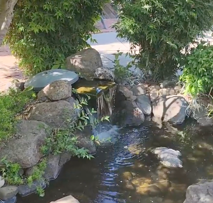 Pond Cleaning Service - Revitalize your pond oasis with our expert cleaning service! 

Say goodbye to algae and debris, and hello to crystal-clear waters. Trust us to make your pond pristine and your aquatic friends happy. Schedule your pond makeover today!