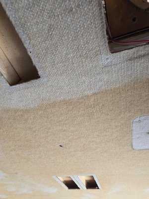 RV cleaning and restoring - We can clean and bring you RV back to looking like new. Cleaning for ceiling,carpet and upholstery is available.