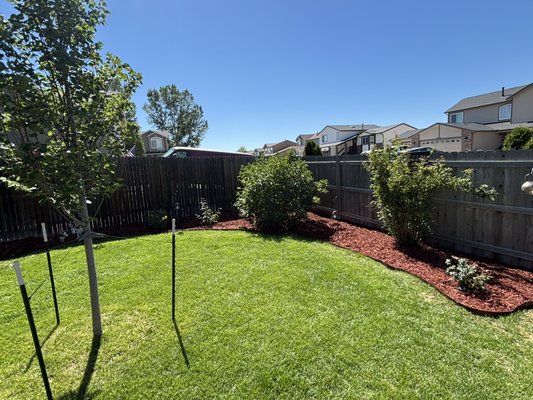 Mulch and Edging Projects - Here are a couple of mulch and edging projects we have completed recently. Mulch and Edging Projects - Here are a couple of mulch and edging projects we have completed recently.