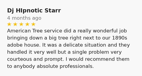 Reviews - These are 5-star reviews from our Google Business Profile, highlighting the positive experiences our customers have had with our tree services. Reviews - These are 5-star reviews from our Google Business Profile, highlighting the positive experiences our customers have had with our tree services.