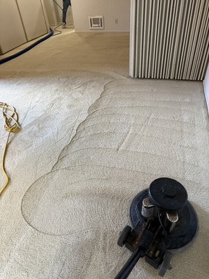 Apartment turn Over Carpet Cleaning - Carpet cleaning for apartment complex