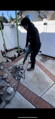 $900.00 Back Yard Demo - This backyard demo was completed in 8 hours. ( Homeowners did the renovation. )