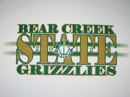 B-Seen Apparel Metallic inks and Chrome Metallic Effects - Samples of past projects using metallic inks and highly reflective chrome vinyl B-Seen Apparel Metallic inks and Chrome Metallic Effects - Samples of past projects using metallic inks and highly reflective chrome vinyl