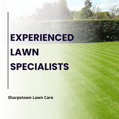 Lawn Fertilizing | July 2019 - Lawn Fertilizing Experts | Houston, TX Lawn Fertilizing | July 2019 - Lawn Fertilizing Experts | Houston, TX