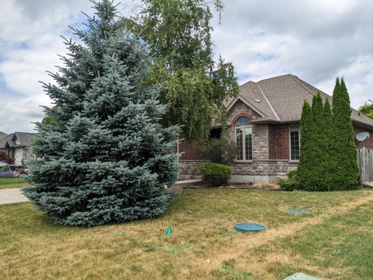 no bueno - This customer wanted a full front yard cleanup! making their yard more manageable and more enjoyable. no bueno - This customer wanted a full front yard cleanup! making their yard more manageable and more enjoyable.