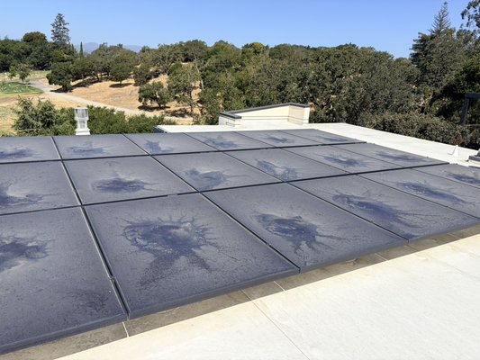 Solar Panel Cleaning - Keep your solar panels performing at their best with professional cleaning from North Bay Window Cleaning. Removing dirt, dust, pollen, algae, lichen, bird droppings and grime helps maximize sunlight exposure and maintain your system’s efficiency. Clean panels can help you get more from your solar investment and keep your home looking its best. Solar Panel Cleaning - Keep your solar panels performing at their best with professional cleaning from North Bay Window Cleaning. Removing dirt, dust, pollen, algae, lichen, bird droppings and grime helps maximize sunlight exposure and maintain your system’s efficiency. Clean panels can help you get more from your solar investment and keep your home looking its best.