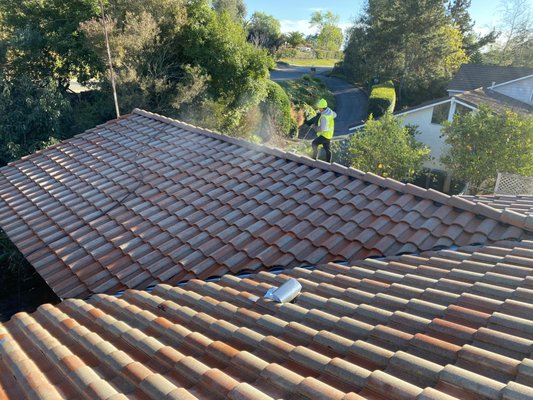 Roof Cleaning Services - Roof Cleaning is a delicate process, but when given to the professionals can increase your homes value and greatly change the curb front appeal. On this custom home in Fallbrook, CA we wiped off years of algae growth and post treated with a algae preventing compound to help prevent future growth. Our team also utilizes OSHA compliant fall arrest equipment and exercises strict "elevated work safety" procedures when cleaning roofs.