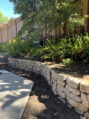 Cupertino Landscape renovation - This project was done to restore the backyard back to its original state after having a major main line leak. The main line break caused damage to existing retaining wall, concrete, and irrigation system. Red Oak was called in to repair and run new irrigation lines as needed, as well as new concrete, and new retaining walls. Planting was also done by Red Oak per customers request.