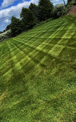 Mowing & weed whacking services - Here are some Before and after mowing jobs. Mowing & weed whacking services - Here are some Before and after mowing jobs.